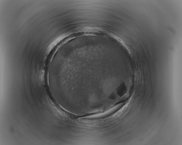 X0000113601066200909251151