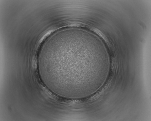 X0000113601067200909251151