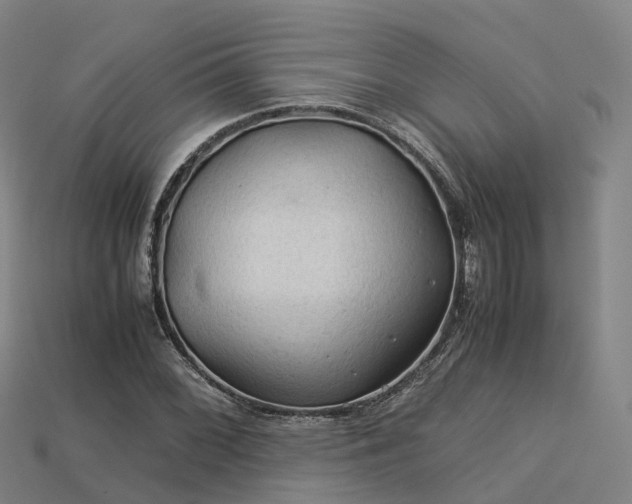 X0000113601068200909251151