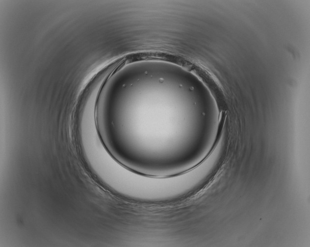 X0000113601069200909251151