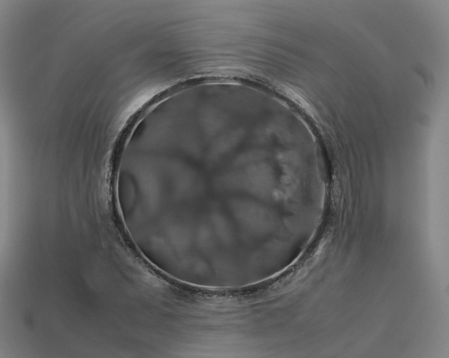 X0000113601071200909251151