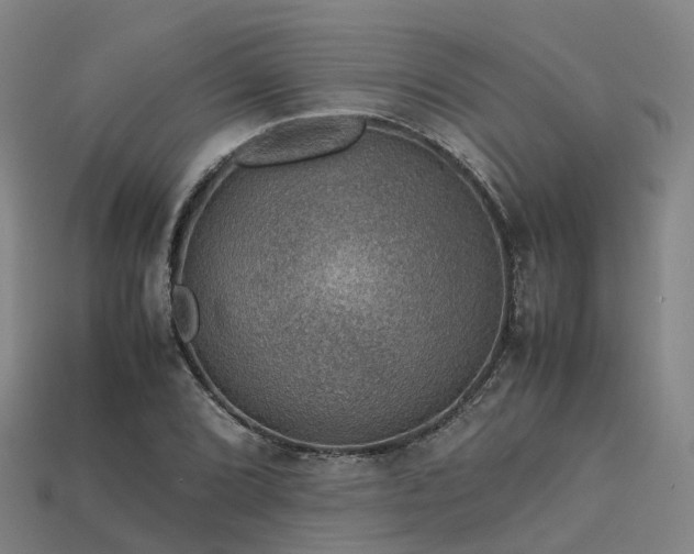 X0000113601072200909251151