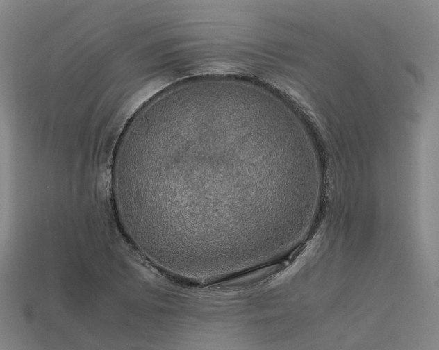 X0000113601073200909251151