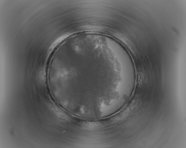 X0000113601074200909251151