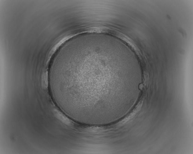 X0000113601075200909251151