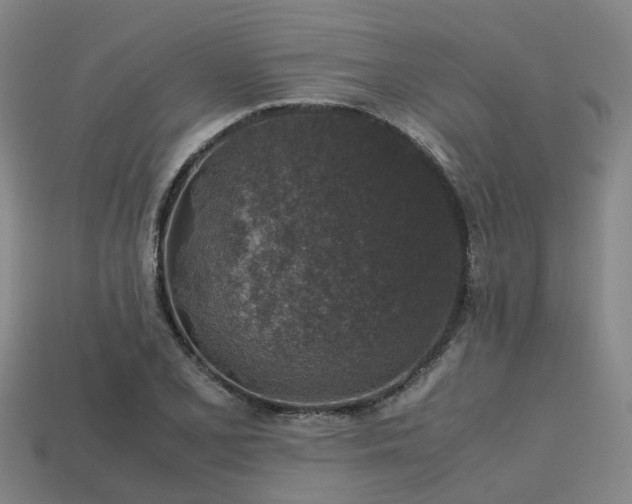 X0000113601077200909251151