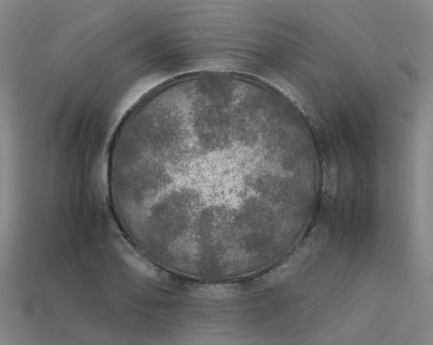 X0000113601078200909251151