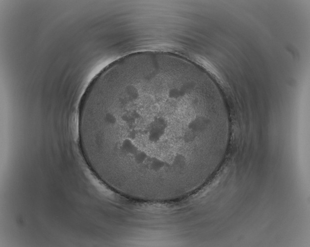 X0000113601079200909251151