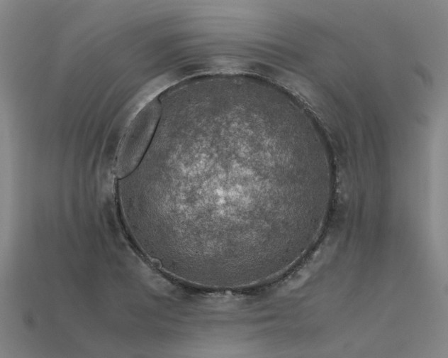 X0000113601081200909251151