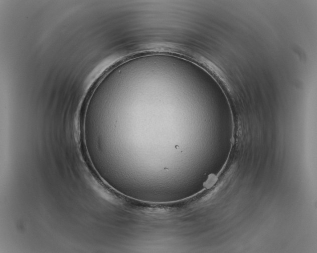 X0000113601082200909251151