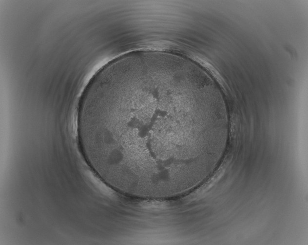 X0000113601083200909251151