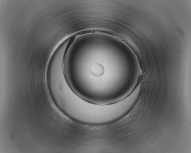 X0000113601084200909251151