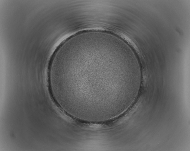 X0000113601085200909251151