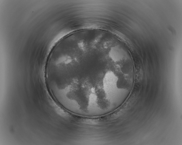 X0000113601086200909251151