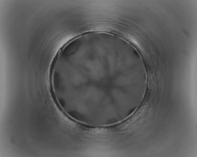 X0000113601087200909251151