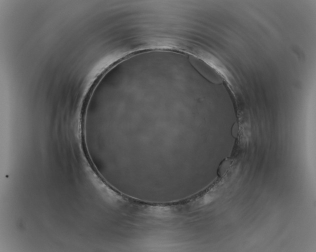 X0000113601088200909251151