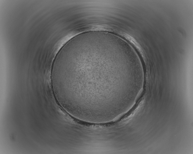 X0000113601089200909251151