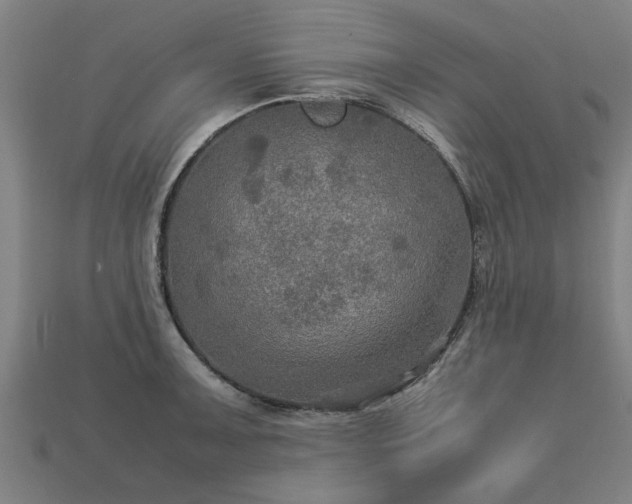 X0000113601091200909251151