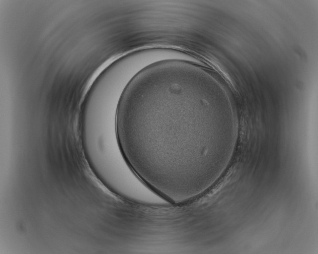 X0000113601092200909251151