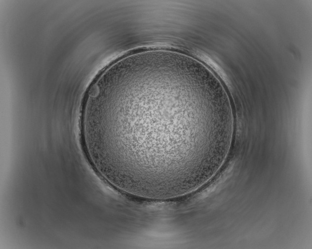 X0000113601093200909251151