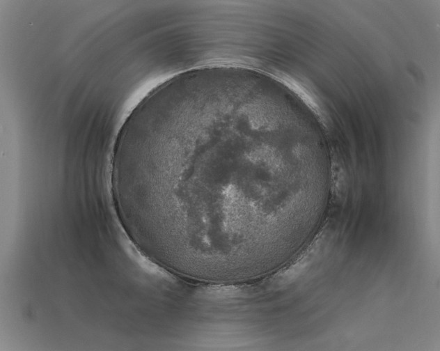 X0000113601094200909251151