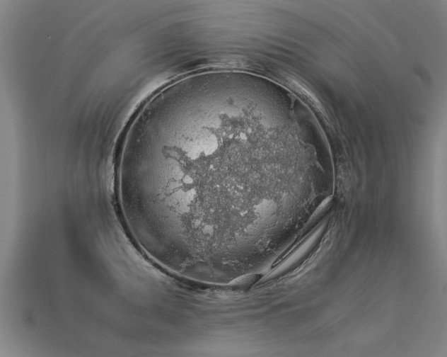 X0000113601095200909251151