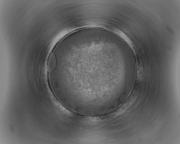 X0000113601096200909251151