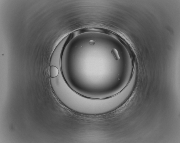 X0000113601097200909251151