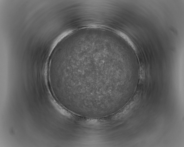 X0000113601098200909251151