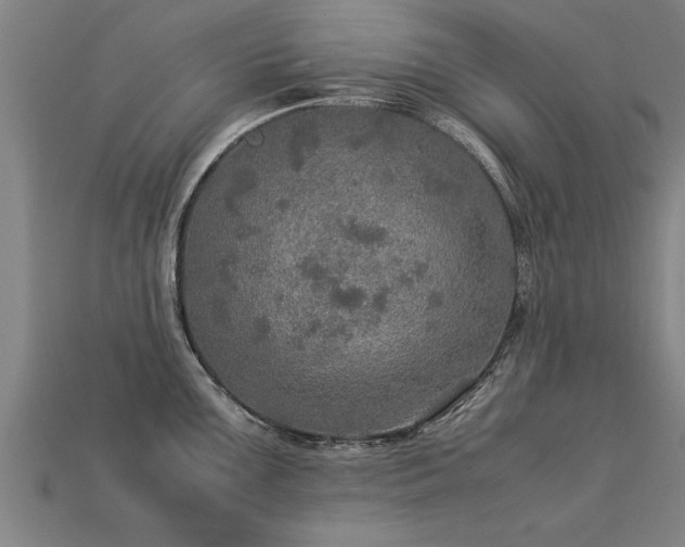 X0000113601099200909251151