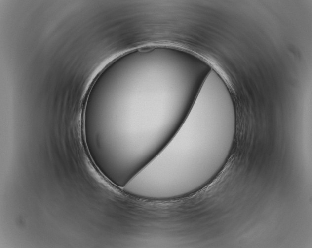 X0000113601100200909251151