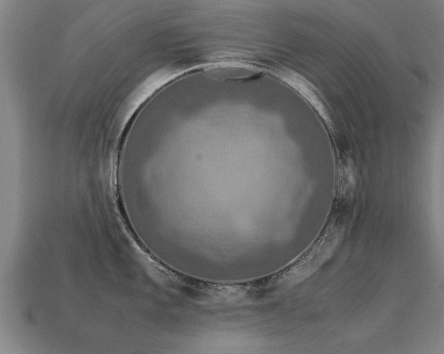 X0000113601101200909251151