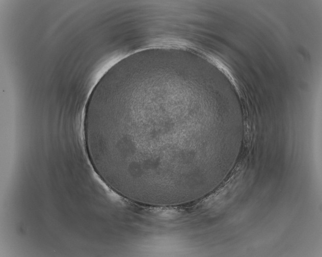 X0000113601103200909251151