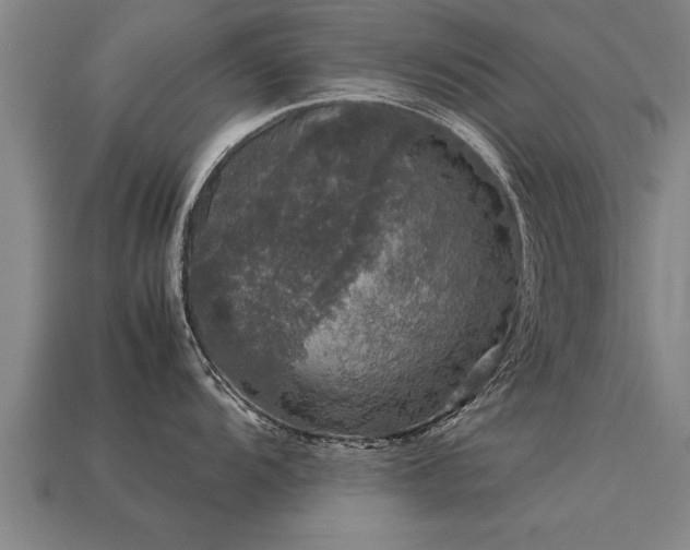 X0000113601104200909251151