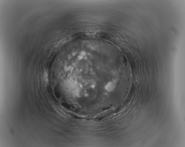 X0000113601106200909251150