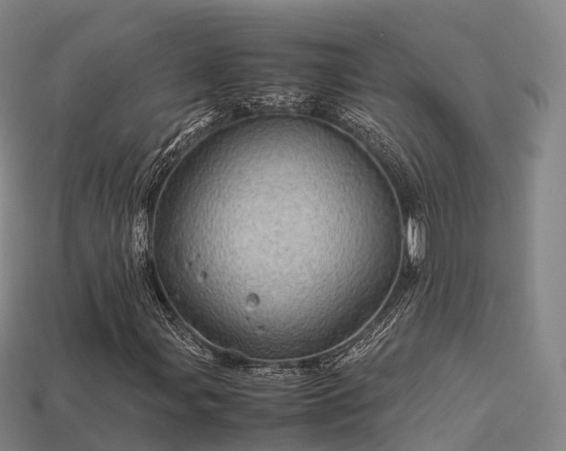 X0000113601107200909251150