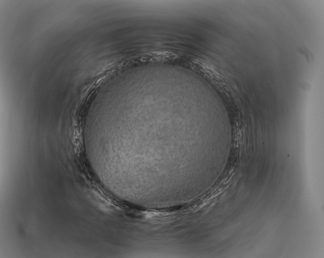 X0000113601109200909251150