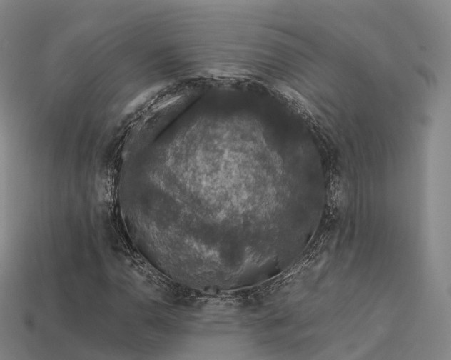 X0000113601110200909251150