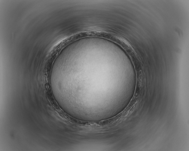 X0000113601112200909251150