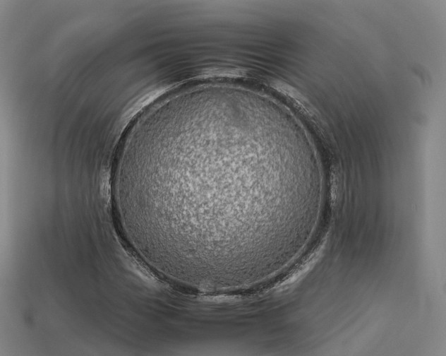 X0000113601113200909251150