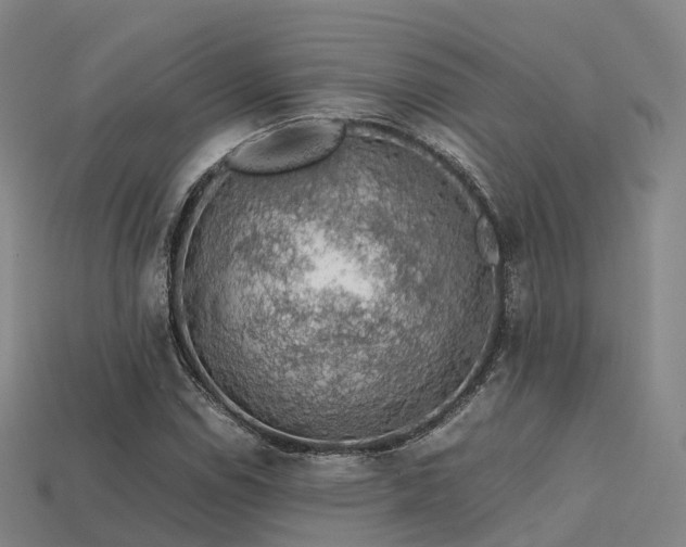 X0000113601114200909251150