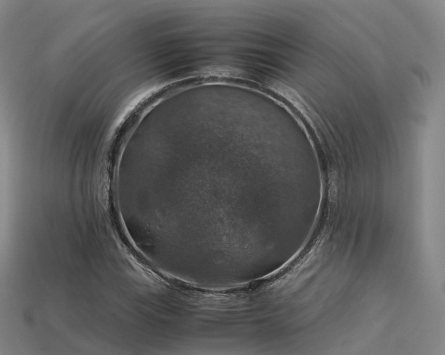 X0000113601115200909251150