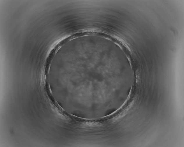 X0000113601117200909251150