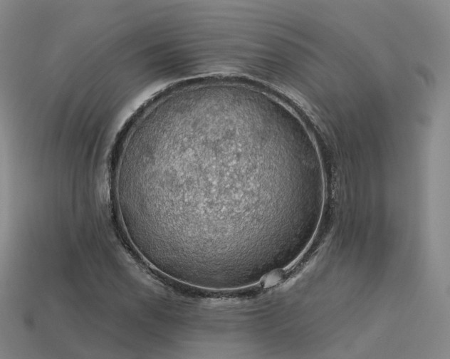 X0000113601118200909251150