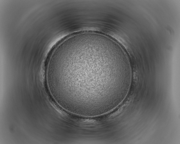 X0000113601119200909251150