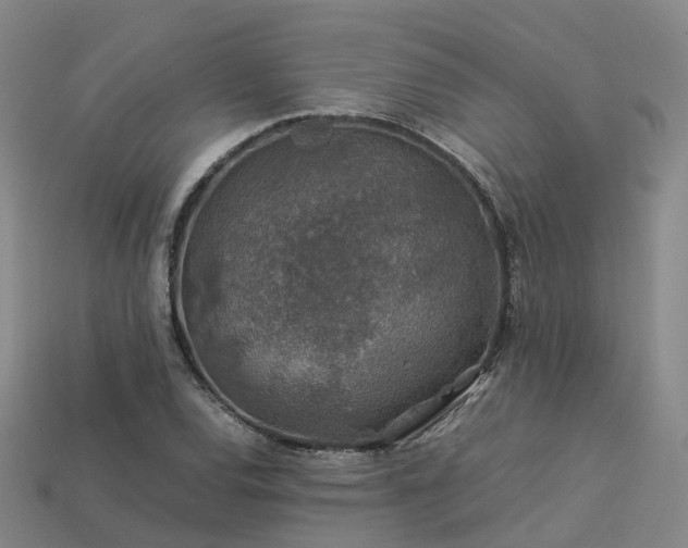 X0000113601120200909251150