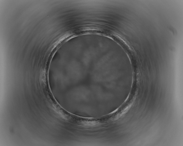 X0000113601121200909251150