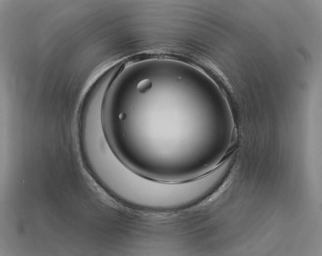 X0000113601122200909251150