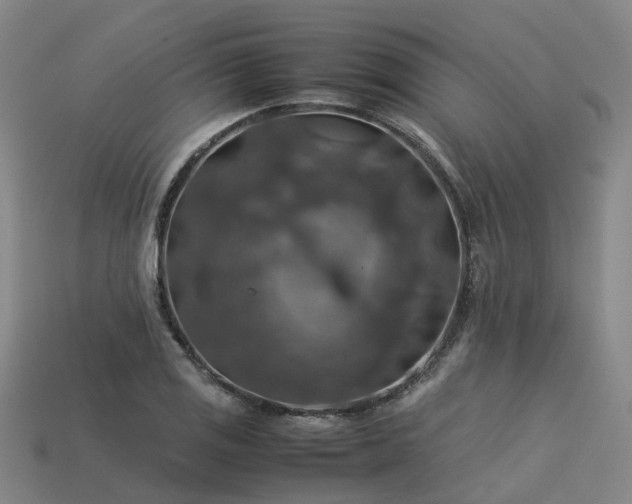 X0000113601125200909251151