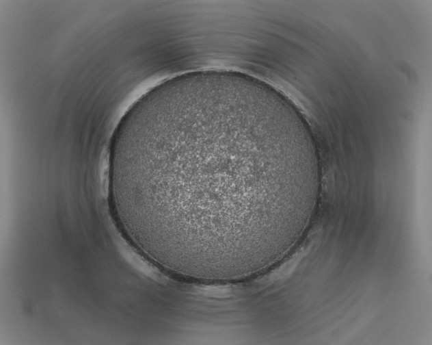 X0000113601126200909251151